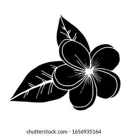 
Vector image. Tropical flowers. Exotic. Creative design