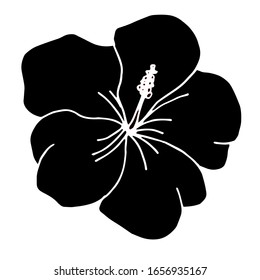 
Vector image. Tropical flowers. Exotic. Creative design