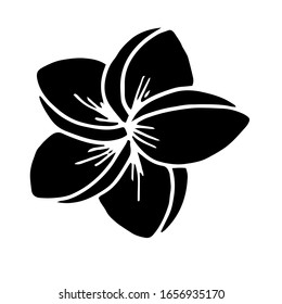 
Vector image. Tropical flowers. Exotic. Creative design