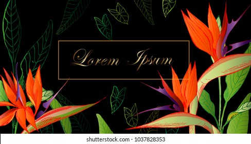 Vector image of tropical flowers on black background.