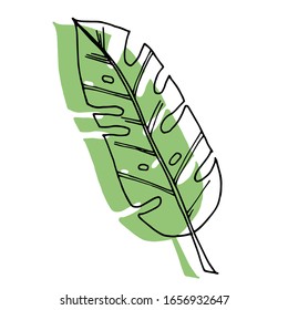 
Imagen vectorial. Hojas tropicales. Exótico. Diseño creativo