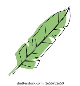 
Vector image. Tropical leaves. Exotic. Creative design