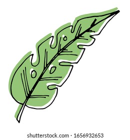 
Vector image. Tropical leaves. Exotic. Creative design