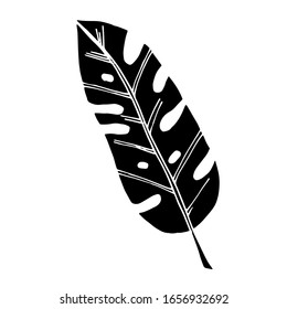 
Vector image. Tropical leaves. Exotic. Creative design
