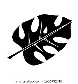 
Vector image. Tropical leaves. Exotic. Creative design