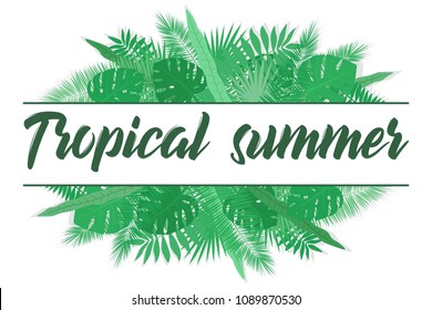Vector image of a tropical leaves with the inscription tropical summer on a white background. Botanical illustration.