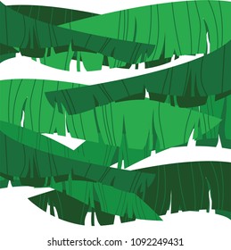 Vector image of tropical palm leaf for background