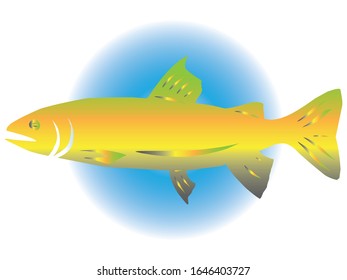 vector image of a trout fish