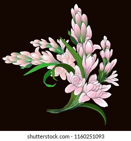 Vector image. Tuberose - branches. Medicinal, perfumery and cosmetic plants. Wallpaper. Use printed materials, signs, posters, postcards, packaging.  Line drawing. Branch with buds and flowers.