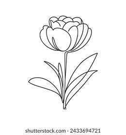 Vector image of a tulip drawn with a single line.