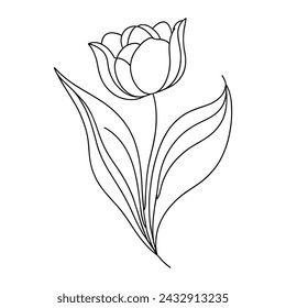 Vector image of a tulip in a linear style.