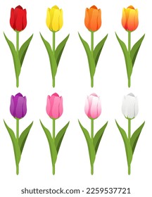 Vector image of tulips. Beautiful spring flowers.  A bright design element. Valentine's Day, March 8, Mother's Day