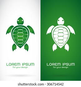 Vector image of an turtle design on white background and green background, Logo, Symbol, Animals