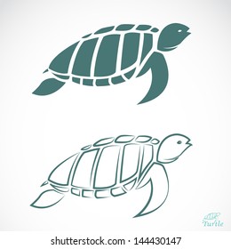 Vector image of an turtle on white background