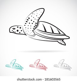 Vector image of an turtle on white background