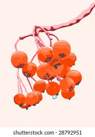 The vector image twig rowan on a pink background.