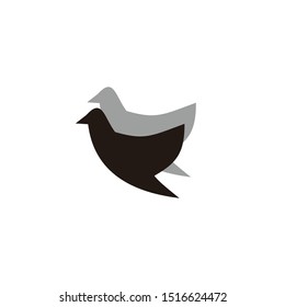 vector image of two black birds
