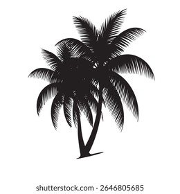 Vector image of two coconut trees.