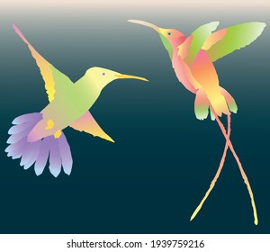 Vector image of two colorful flying hummingbirds
