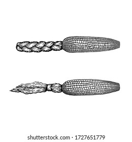 A vector image of two corncobs: the first with a coat in the plait form and the second with a coat in the tail form in the technique of black and white graphic on a white background (isolated object)