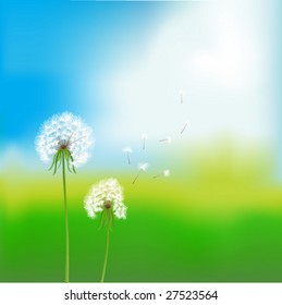 vector image. two dandelions over blurred summer background