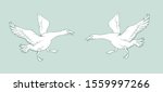 Vector image of two geese running towards each other with outstretched wings on a light blue background.