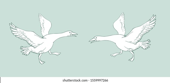 Vector image of two geese running towards each other with outstretched wings on a light blue background.