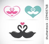 Vector image of two loving swans