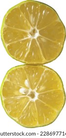 vector image of two slices of ripe orange fruit on a white background