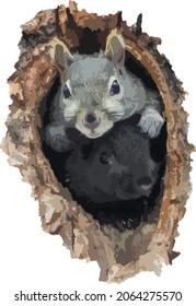 Vector Image of Two Squirrels Friends (Grey Squirrel and Black Squirrel) Peeking Out of a Hole in a Tree