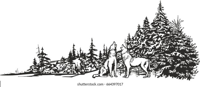 Vector image of two wolves howling in the background of a winter forest /  Howling wolves.