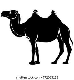 Vector image of two-humped camel silhouette