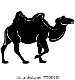 Vector image of two-humped camel silhouette