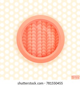 Vector image. An unusual cute textured button. Pink glass button with texture inside. A magnifying glass on the fabric.