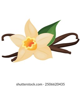 Vector image of vanilla. Concept of aromatic additive. For banners, websites, advertising, etc.