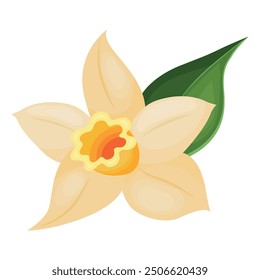 Vector image of vanilla. Concept of aromatic additive. For banners, websites, advertising, etc.