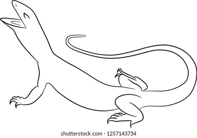 
Vector image of a Varan reptile