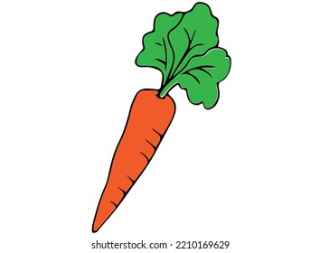 imagen vectorial de diversos tipos de frutas y verduras que son buenas para la salud corporal.