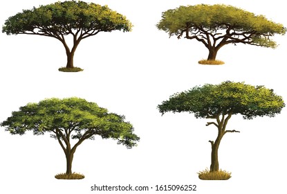 Vector image of various shapes of beautiful trees in African nature