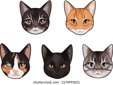vector image of various types of cats; full color concept
