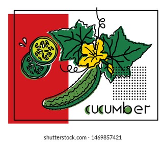 Vector image of a vegetable with the original inscription cucumber. For menu design, social networks, leaflets, websites, banners, postcards, packaging, presentation.