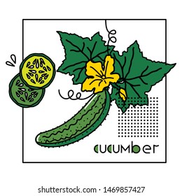 Vector image of a vegetable with the original inscription cucumber. For menu design, social networks, leaflets, websites, banners, postcards, packaging, presentation.