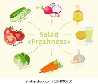 Vector image of vegetable salad recipe
