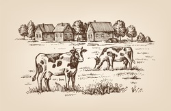 Vector Image Of Village And Landscape Farm