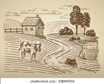 vector image of village and landscape farm