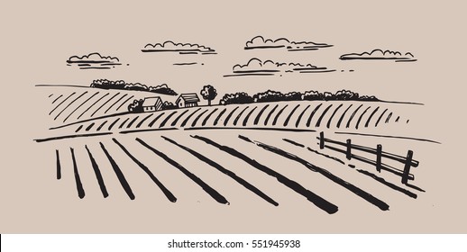 vector image of village and landscape farm