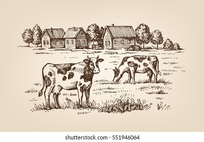 vector image of village and landscape farm
