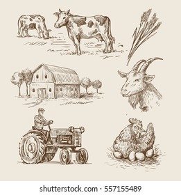 vector image of village and landscape farm