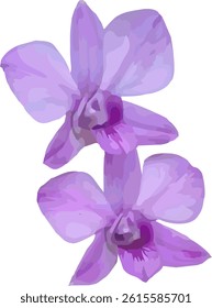 vector image of a violet purple orchid flower on a white background