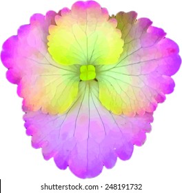 vector image in vivid color four petals rose and yellow cute and rare flower